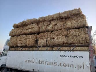 продажа щенков немецкой овчарки с документами в бишкеке: Продаю салому ячменая с доставкой беловодске 200 сом — 2