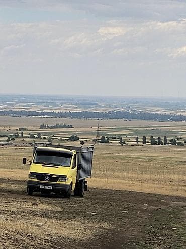 задний двер на спринтер: Грузовик, Mercedes-Benz — 2