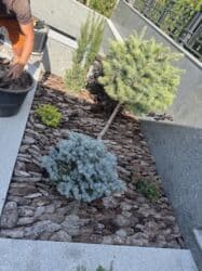 ландшафтный дизайн работа: Дизайн | Дома — 14