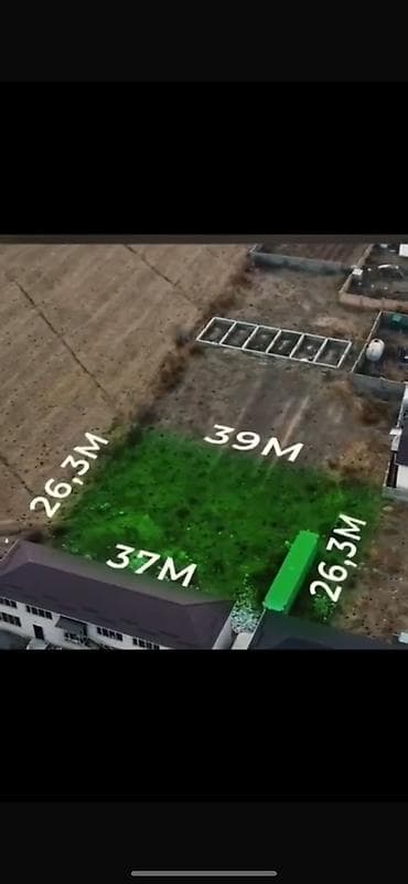 бишкек участо: 10 соток, Бизнес үчүн, Кызыл китеп — 3