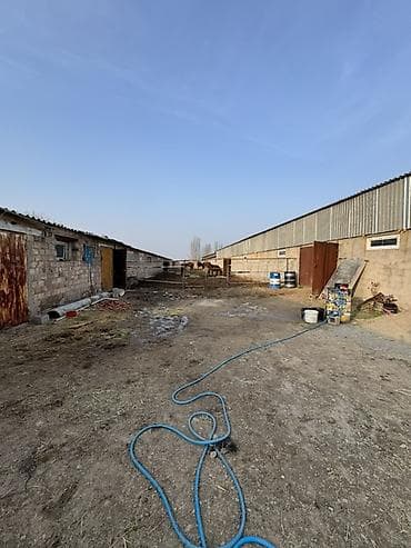 Коммерческая недвижимость: Кошара, 100 соток, Действующий, С оборудованием, Электричество, Канализация, Отопление — 6