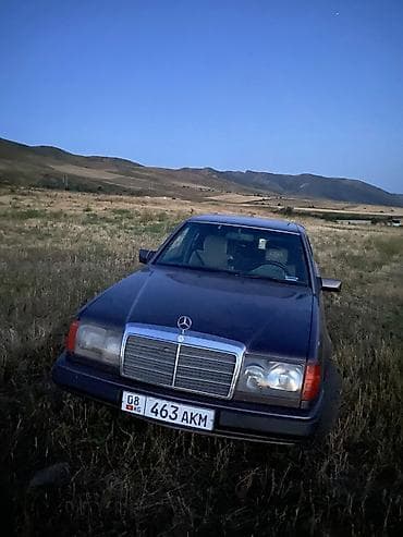 мафон w210: Mercedes-Benz W124: 1992 г., 2.3 л, Механика, Газ, Седан — 2