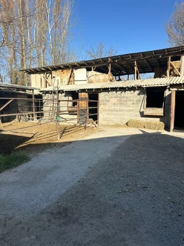 продаю пол дом баят: Дом, 100 м², 5 комнат, Собственник, Евроремонт — 8