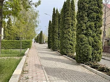делаю справки: Коттедж, Кейсар, Чолпон-Ата — 3