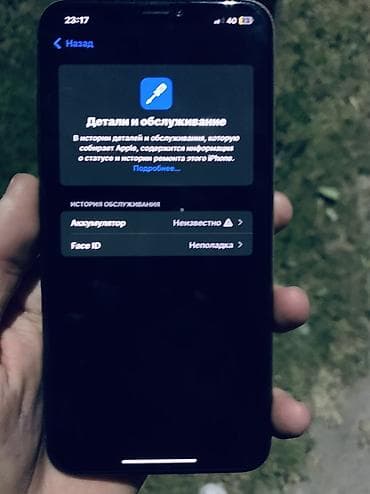 телеви: IPhone Xs Max, Б/у, 256 ГБ, Natural Titanium, Защитное стекло, Чехол, 100 % — 3