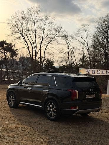 transporter multivan: Hyundai Palisade: 2020 г., 2.2 л, Автомат, Дизель, Кроссовер — 6