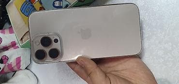 IPhone 15 Pro Max, Natural Titanium, Чехол