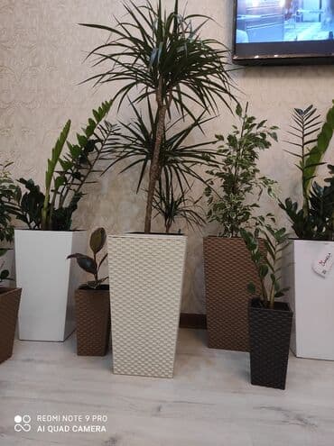 цветочница: Кашпо для цветов, Цветочные горшки Объем разные Производство — 3