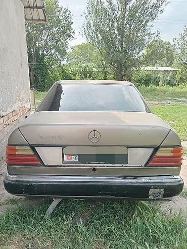 Продажа авто: Mercedes-Benz W124: 1988 г., 2.5 л, Механика, Дизель, Седан — 2