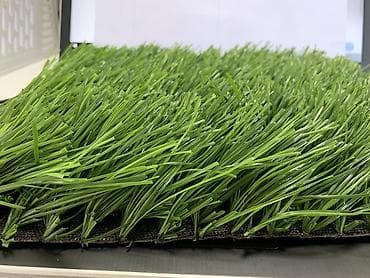 рулонный газон бишкек: Искусственный газон, искусственный газон купить, искусственный газон — 2