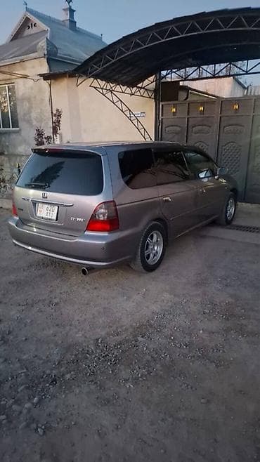 багаш: Honda Odyssey: 2003 г., Автомат, Бензин, Минивэн — 1