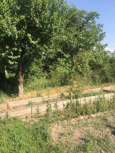 дом на иссык куле купить: 7 соток, Для строительства, Красная книга — 5