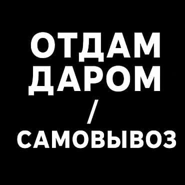 Отдам даром! Строительный бой/ бетон. Размер как крупный щебень и lalafo.kg да Отдам даром! Строительный бой/ бетон. Размер как крупный щебень и