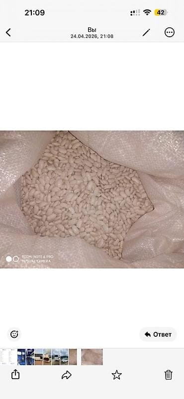 плед бишкек: Продаю фасоль. Лопатка белая . В наличии 10 тон. Находится в городе — 2