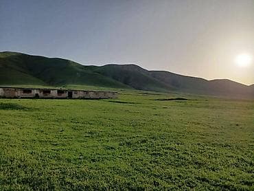 Farm КРС, 50 соток, Действующий, Без оборудования, Без коммуникаций — 2