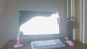 studio display: Монитор, Asus, Б/у — 2