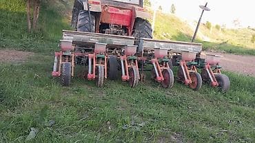 купить борону: Срочна мака целка сатылат 135000 минг Соко сатылат 70000 минг срочна — 2