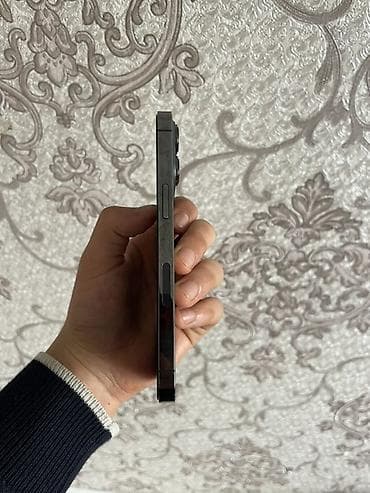 mafia 3: IPhone 13 Pro, Б/у, 128 ГБ, Black Titanium, Чехол, 85 % — 3