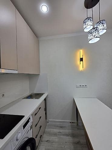 комната в бишкеке: 1 комната, 20 м², Малосемейка, 4 этаж, Евроремонт — 4