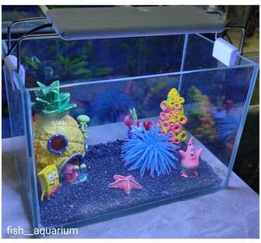 аквариумная рыбка: Новый аквариум. Объём 5 л. Хороший подарок детишкам — 4