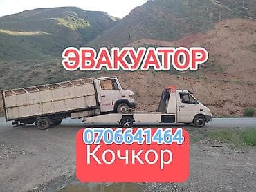 самсунг 8 с: С лебедкой — 1