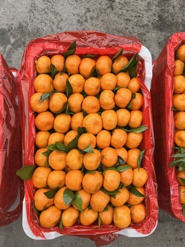 мөмө жемиш: Мандариндер Чекене, Өзү алып кетүү, Акылуу жеткирүү — 3