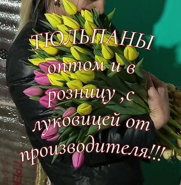 Тюльпаны от производителя — оптом и в розницу. - с луковицей для
