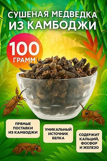 Сушёная медведка из Камбоджи — 100 г - Прямые поставки из Камбоджи - lalafo.kg да Сушёная медведка из Камбоджи — 100 г - Прямые поставки из Камбоджи -