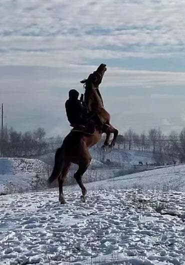 ищу работу дворник: Требуется Уборщик, Оплата: Еженедельно — 1