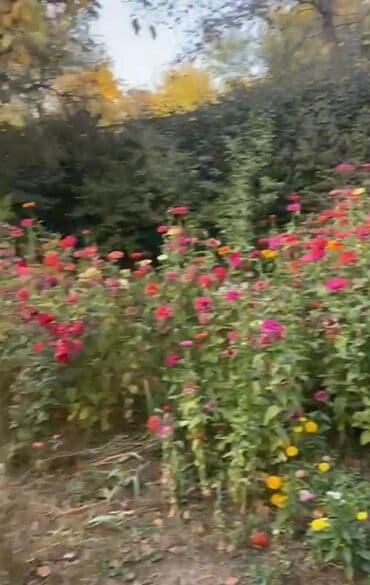 Сниму дом: Дача, 55 м², 3 комнаты, Собственник — 6