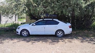 sur ron: Skoda Octavia: 2017 г., 1.6 л, Автомат, Бензин, Седан — 6