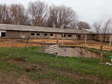 продаю дом шербакова: 77 соток, Электричество, Скважина, Холодная вода — 3