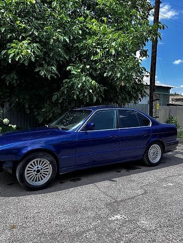 м50б25 купить: BMW 5 series: 1992 г., 2.5 л, Механика, Бензин, Седан — 3