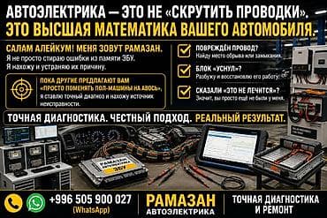 животные для дома: Найдем любую проблему — 1