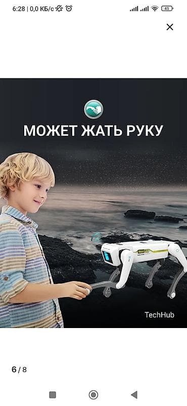 робот кот: Продается робот -собака, есть инструкция джойстик . стоимость 3000с — 7