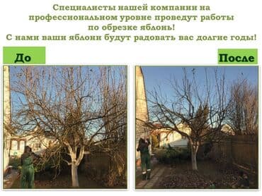 установка газового оборудования бишкек: ОБРЕЗКА САДОВЫХ ДЕРЕВЬЕВ ФОРМИРОВКА ПИЛИМ ДРОВА ВОЗМОЖНО ВЫЕЗД ПО — 1