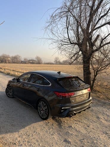 газ оборудование на авто: Kia K3: 2019 г., 1.6 л, Робот, Бензиновая, Универсал — 4