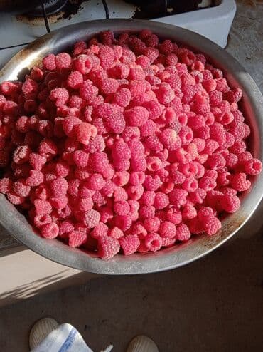 malina.kg продажа малины оптом в бишкеке новопокровка фото: Малина кочоттор сатылат. сорт Импортный Полька. момосу абдан коп . 1 — 2