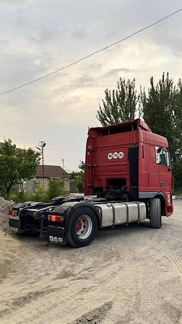 максима сефиро: Тягач, DAF, 2003 г., Тентованный — 3