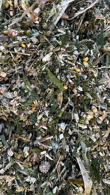 уй сан: Кукурузный силось в герметичных рулонах - Корм: кукурузный — 3