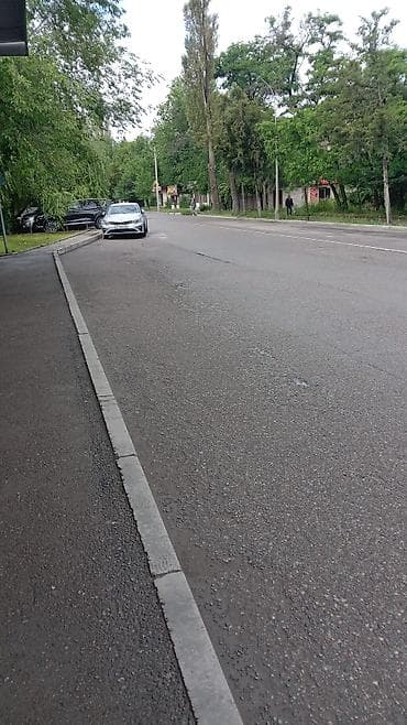 вислоухий кошка: 1 комната, С мебелью полностью — 1