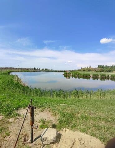 обмен кв на дом: 600 соток, Для бизнеса, Красная книга — 18