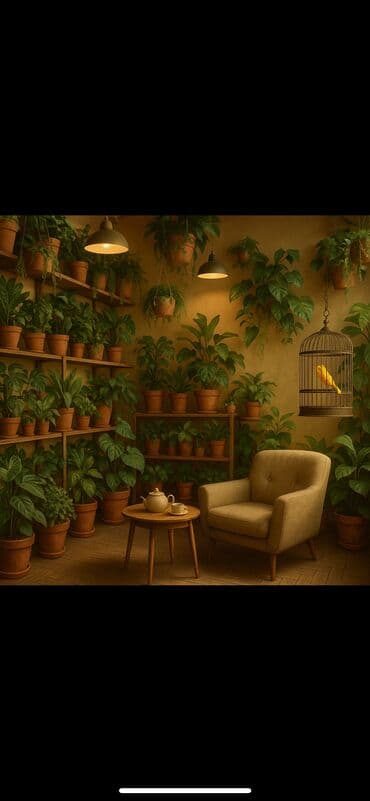 продаю дом аламединский рынок: Сниму помещение под магазин в районе аламедин 1,желательно первая — 1