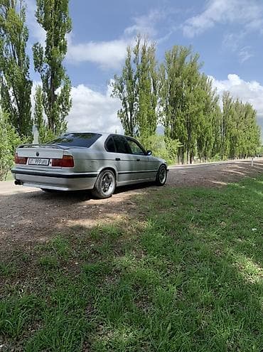кпп zf: BMW 5 series: 1990 г., 2.5 л, Кол менен иштөөчү, Бензин, Седан — 6