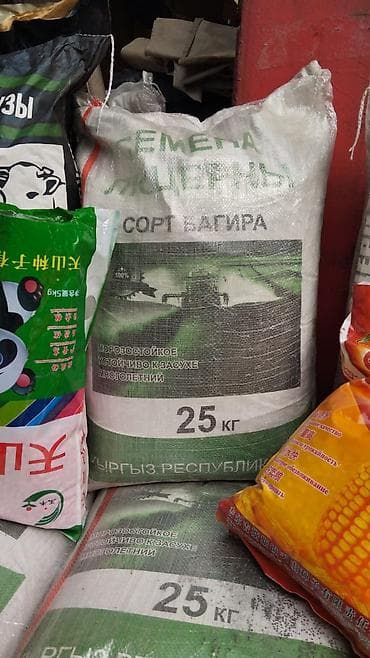 Семена люцерны «Багира», 25 кг - Сорт: Багира - Культура: люцерна -