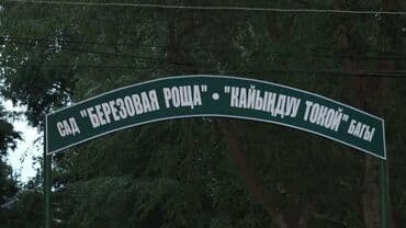 купить квартиру в бишкеке 6 микрорайон: 3 комнаты, 60 м², 4 этаж, Евроремонт — 10