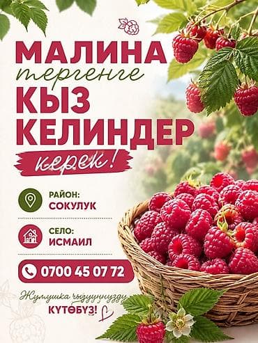 Жумуш: Талап кылынат Түшүм терүүчү, Төлөм: Келишим түрдө — 1