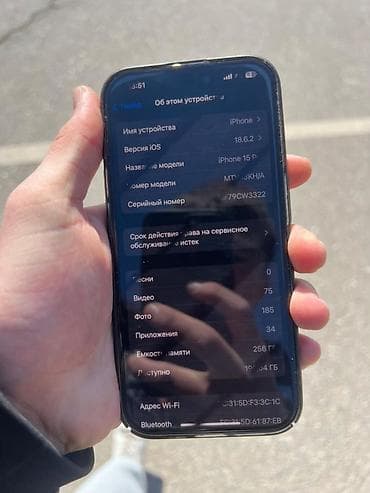 семейная баня аламедин 1: IPhone 15 Pro, Б/у, 256 ГБ, Черный, Чехол, 88 % — 2