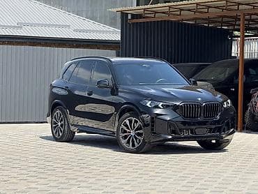 е34 дизель: BMW X5: 2024 г., 3 л, Бензин, Внедорожник — 3