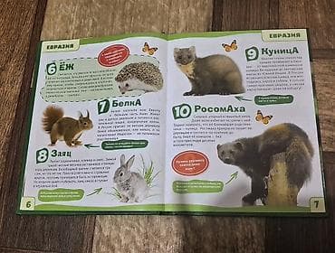 Китептер жана журналдар: Продаю детскую книгу «Животные. 100 фактов. Энциклопедия с — 2